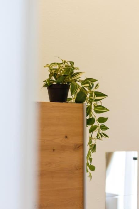 Opera 3br W Sauna By Newave Apartmán Budapešť